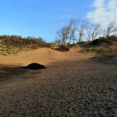 Zonnig * Nieuwpoort